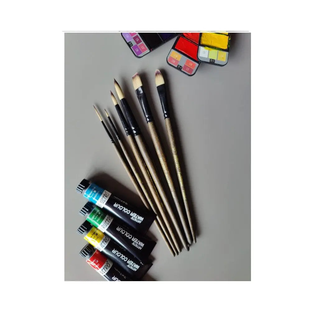 Brustro Aquastrokes Artist Brushes Set of 6 Brustro